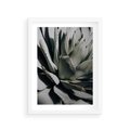 Plakat w ramie 30x40 - Egzotyczny Raj - sukulenty, kaktusy - rama biała