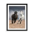 Plakat w ramie 50x70 - Siła koni w galopie - konie, galop - rama czarna