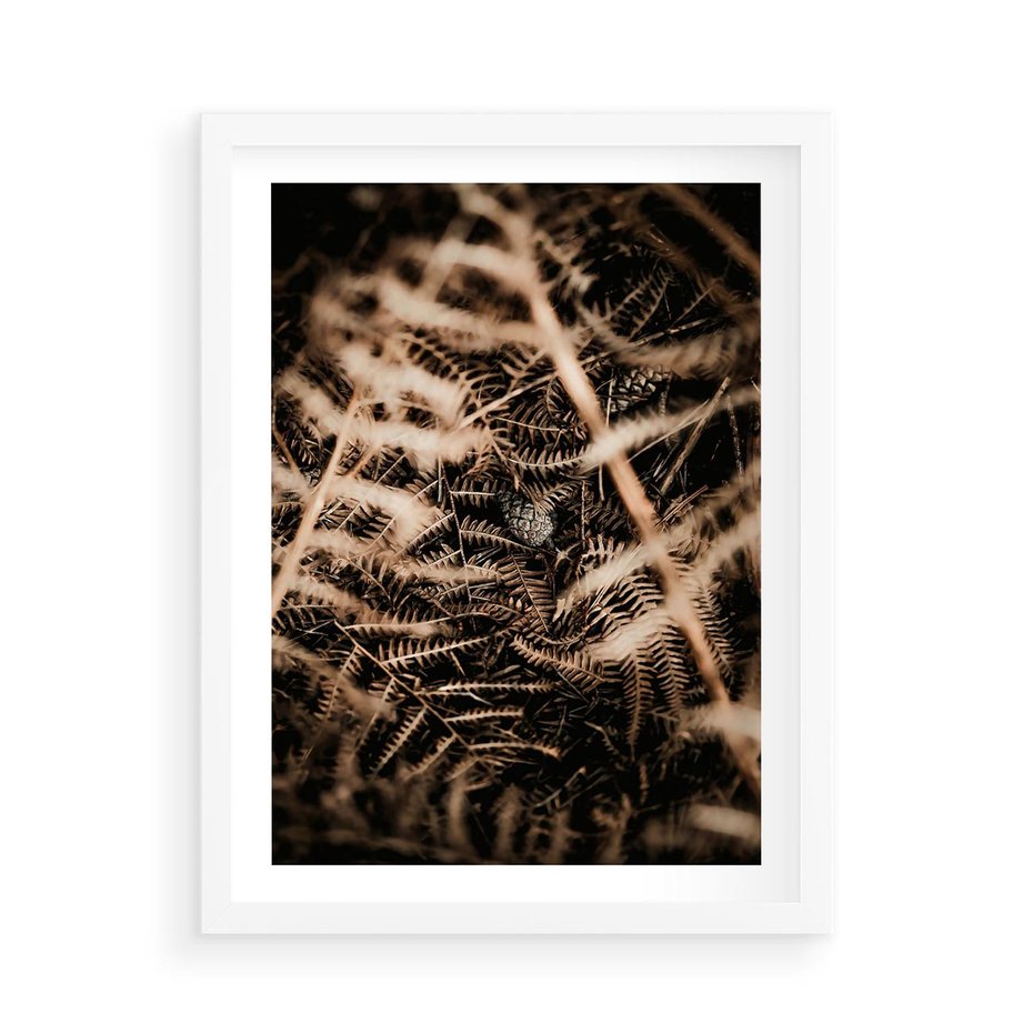 Plakat w ramie 50x70 - Liście i Paprocie - suche liście, paprocie - rama biała