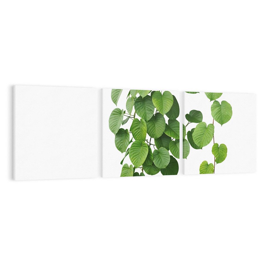 Obraz na płótnie 120x40 - Świeżość Natury - liście, zielone