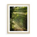 Plakat w ramie 50x70 - harmonia natury - las, drzewa - rama drewno