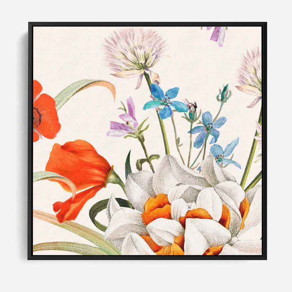 Obraz w ramie 50x50 - Polne Kwiaty - polne kwiaty, na białym tle - rama czarna