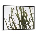 Obraz w ramie 70x50 - Ekskluzywna Roślinność - kaktusy, liście - rama czarna