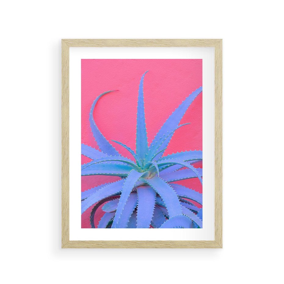 Plakat w ramie 30x40 - Piękno Pustyni - kaktusy, liście - rama drewno