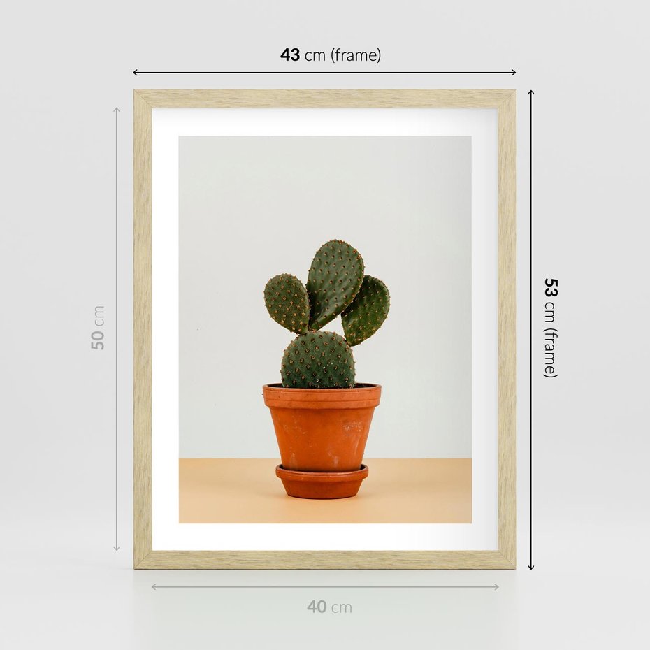 Plakat w ramie 40x50 - Kwiatowy taniec kaktusa - kaktus, kwiat - rama drewno