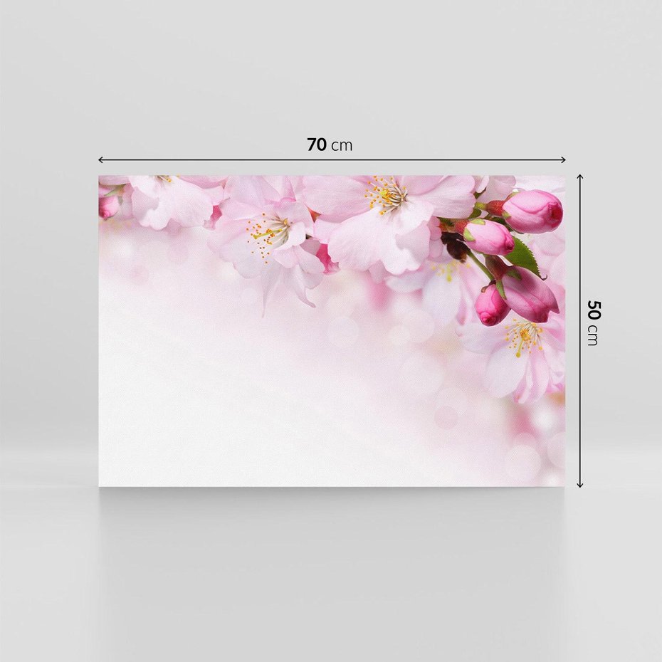 Obraz na płótnie 70x50 - Kwitnąca Wiśnia - kwiaty, kwitnącej