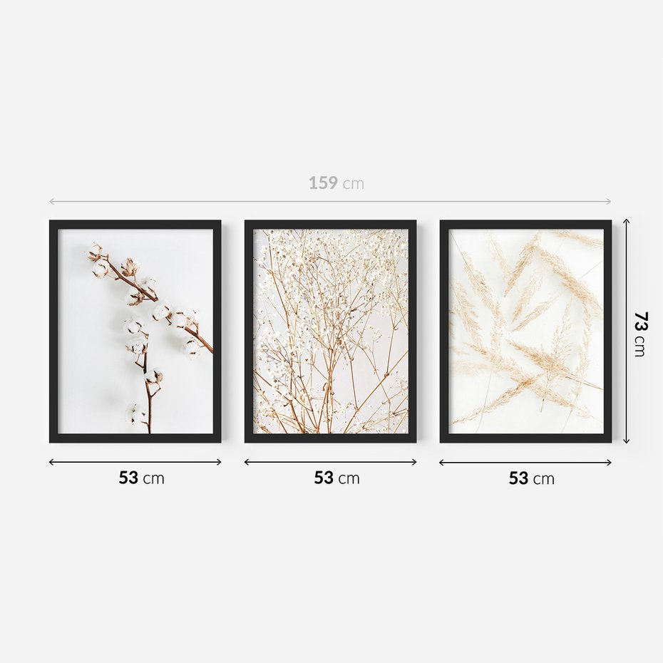 Zestaw obrazy w ramie 50x70 galeria - Suche, trawy, boho, styl - rama czarna