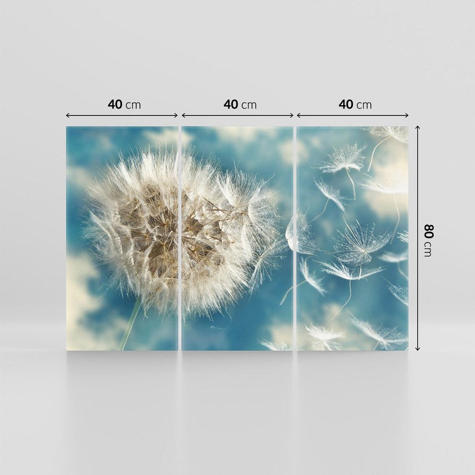 Obraz na płótnie 120x80 - Delikatność dmuchawców w pejzażu - dmuchawiec, kwiaty