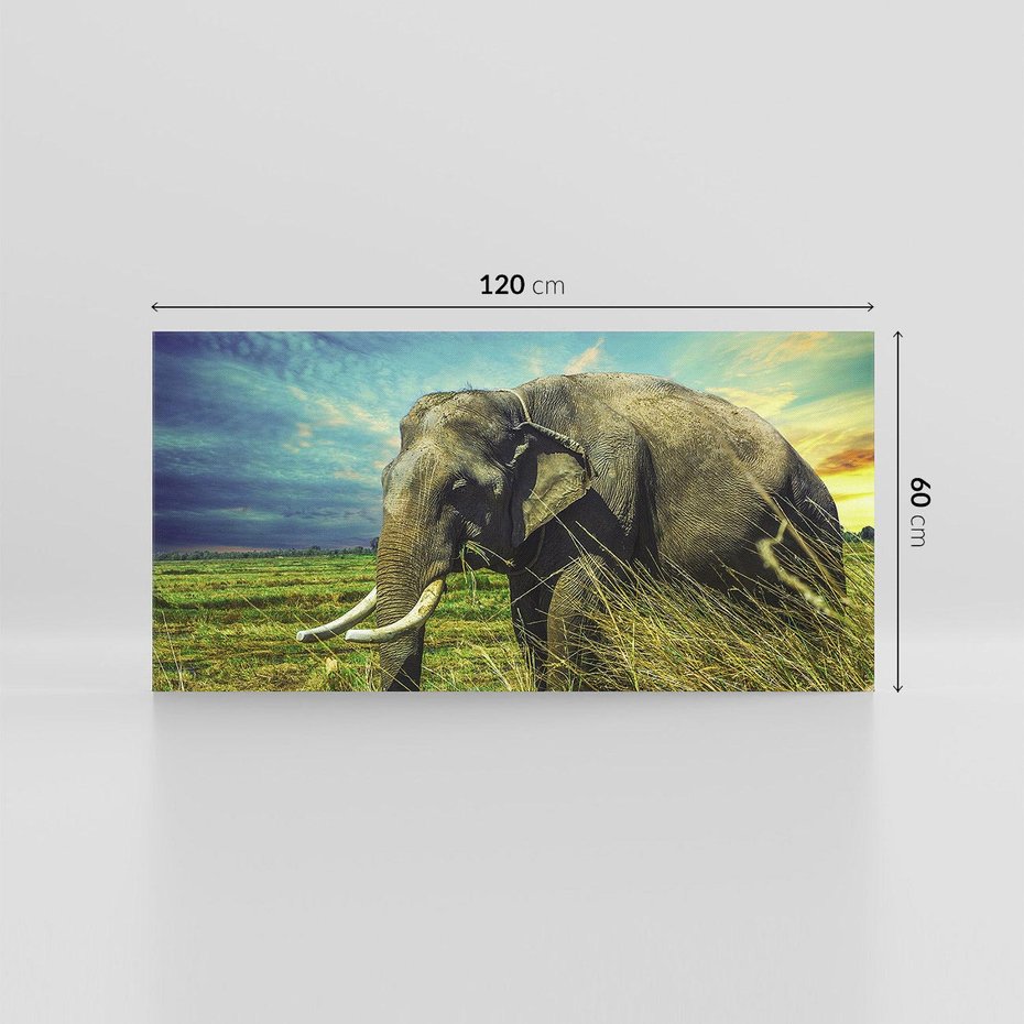 Obraz na płótnie 120x60 - Słoń w sawannie: Spotkanie z dziką przyrodą - słoń, sawanna