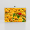 Obraz na płótnie 70x50 - kwiatowa elegancja - tulipany, kwiat
