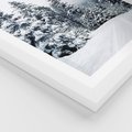 Plakat w ramie 50x70 - Zimowy Las Pod Kołdrą - las, zima - rama biała