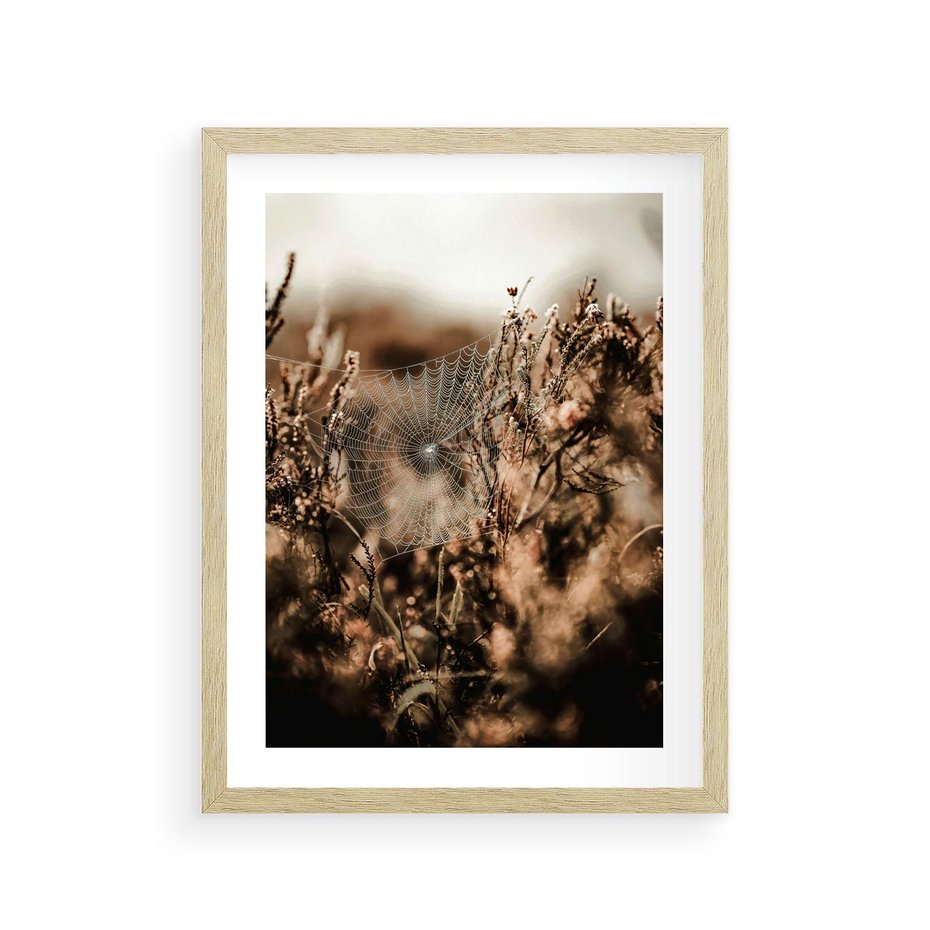 Plakat w ramie 30x40 - Jesienny Mikrokosmos - suchetrawy, jesienny klimat - rama drewno