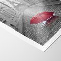 Plakat bez ramy 40x50 - Kolorowy parasol w Paryżu - Paryż, parasol