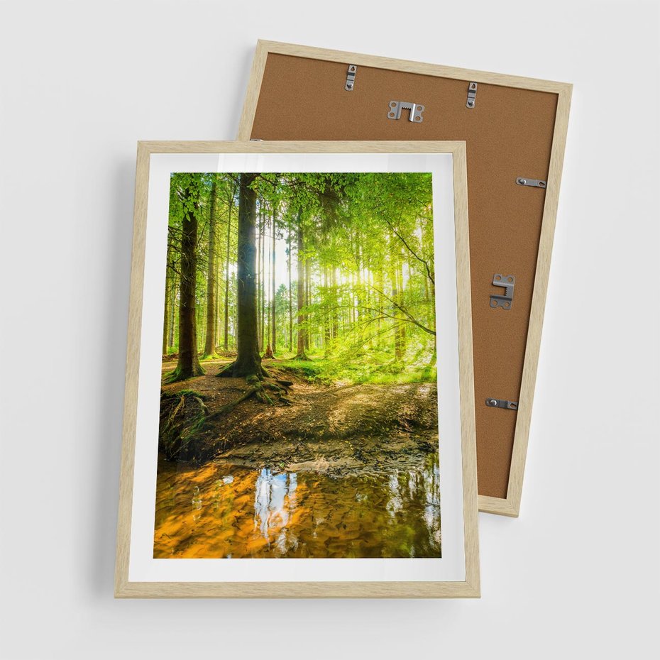 Plakat w ramie 50x70 - Las nad Wodą - las, woda - rama drewno
