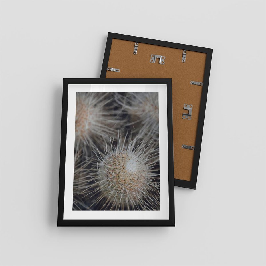 Plakat w ramie 30x40 - Ulotna Piękność Natury - makro, dmuchawce - rama czarna