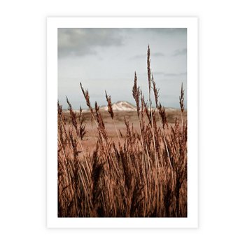 Plakat bez ramy 30x40 - Wysokie Trawy w Górskim Krajobrazie - suche trawy, wysokie trawy