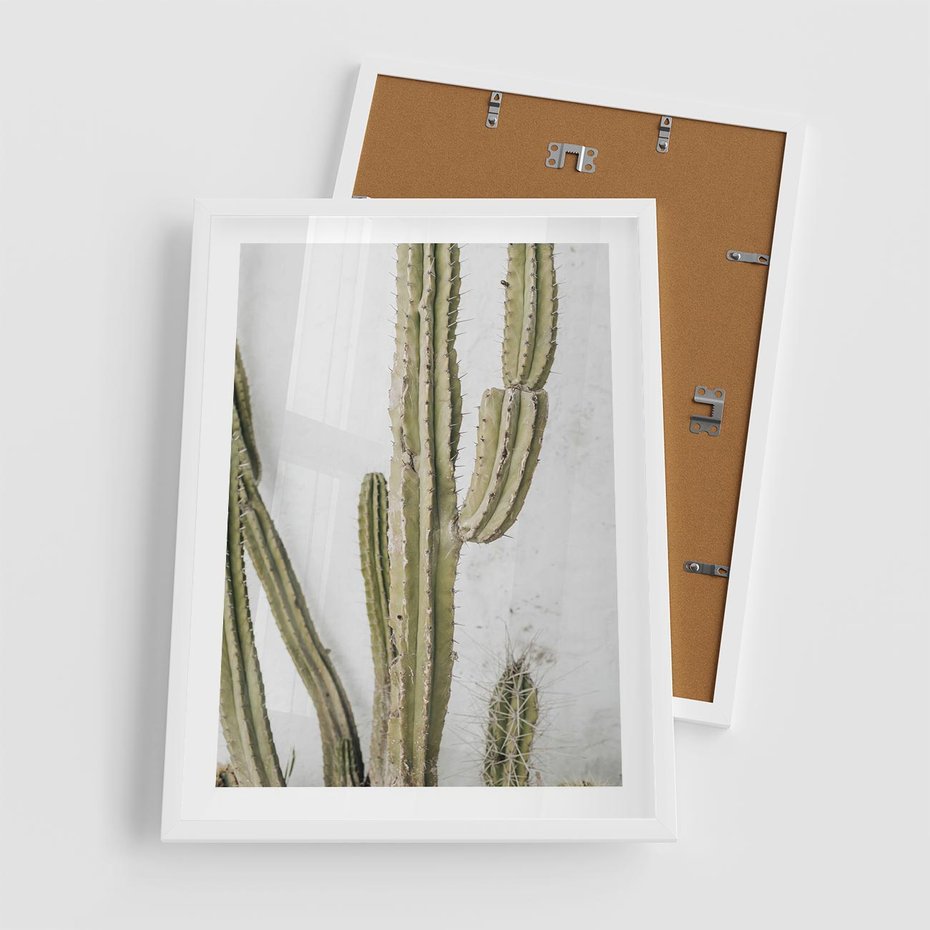 Plakat w ramie 50x70 - Kaktus w Stylu Boho - kaktus, roślina tropikalna - rama biała