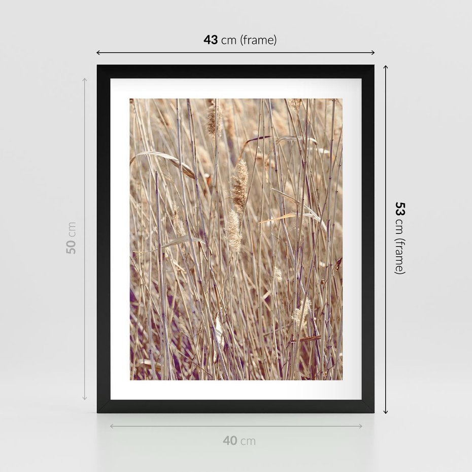 Plakat w ramie 40x50 - Suche Trawy w Wyjątkowym Stylu - suche trawy, boho styl - rama czarna