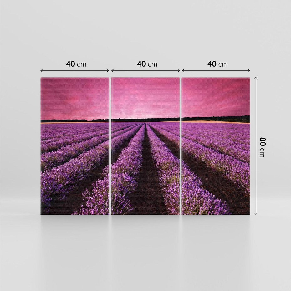 Obraz na płótnie 120x80 - Pola lawendy w pełnym rozkwicie - Lawenda, krajobraz