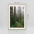 Plakat w ramie 50x70 - Mgliste Marzenia - artystyczna fotografia, las - rama drewno