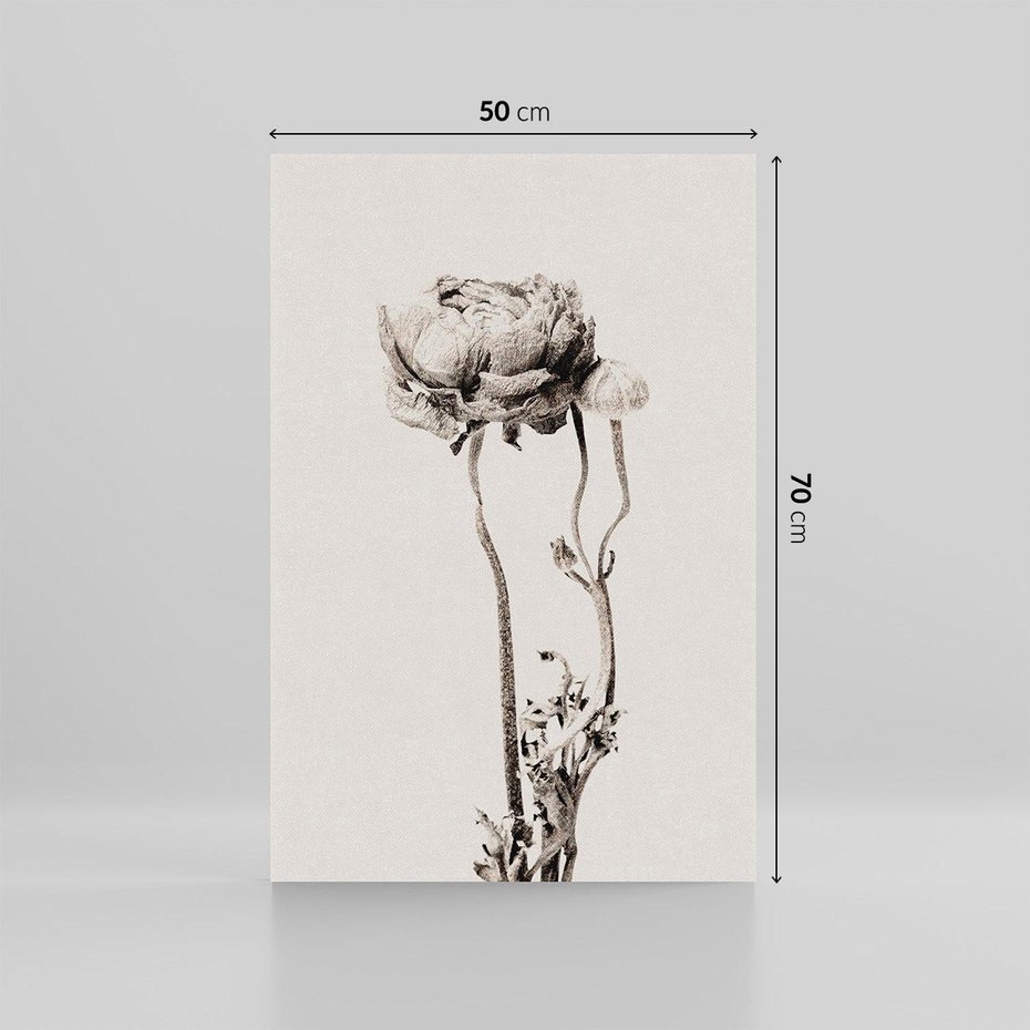 Obraz na płótnie 50x70 - Cień Kwiatowej Delikatności - kwiat, cień