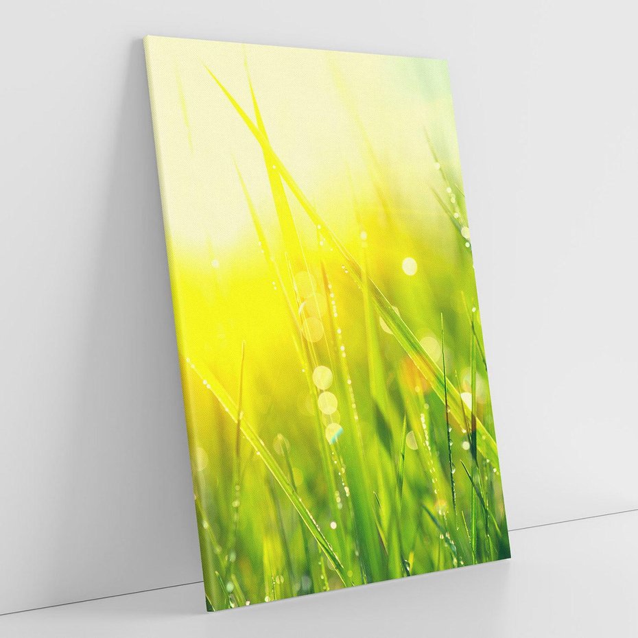 Obraz na płótnie 80x120 - Piękno Poranka - łąka, trawa