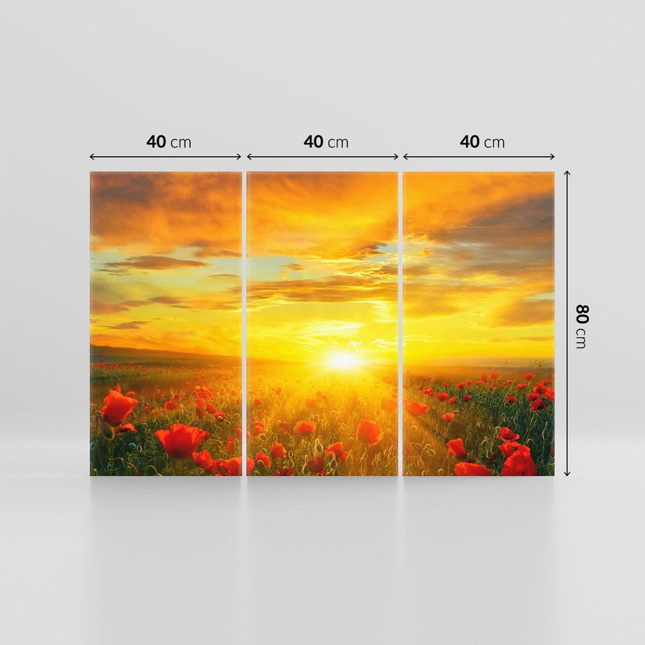 Obraz na płótnie 120x80 - Magia zachodu słońca na łące z makami - łąka, zachód słońca