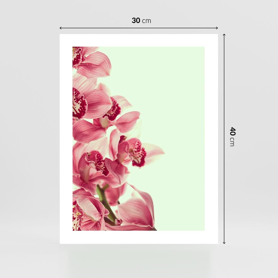 Plakat bez ramy 30x40 - Orchidea - delikatne kwiaty - orchidea, kwiaty