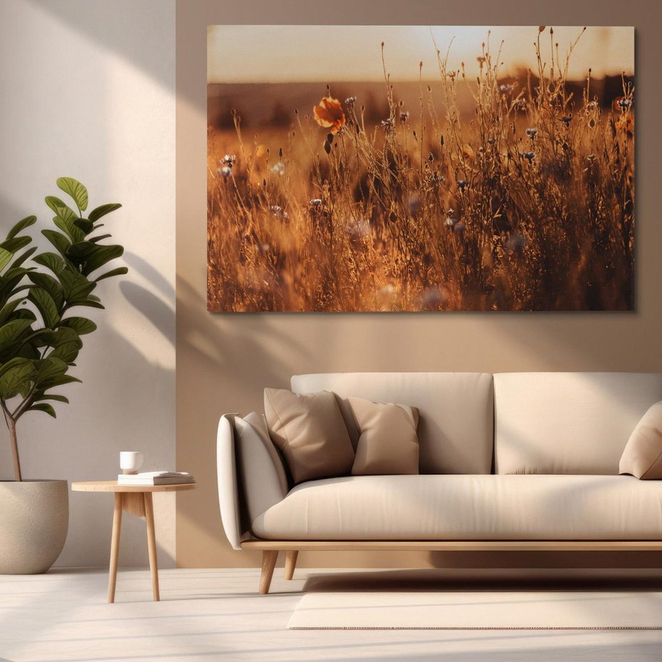 Obraz na płótnie 70x50 - Zachwyt zachodem słońca na łące - zachód, słońca