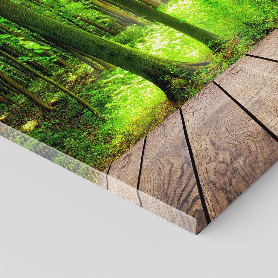 Obraz na płótnie 50x70 - Spacer po urokliwej dróżce w lesie - las, dróżka