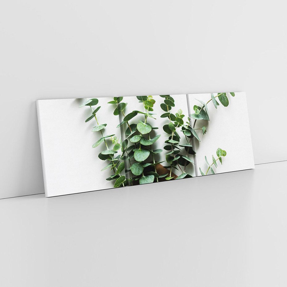 Obraz na płótnie 150x50 - Eukaliptusowa harmonia - eukaliptus, liście