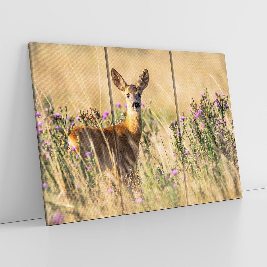 Obraz na płótnie 120x80 - Sarenka na malowniczej łące - sarna, sarenka