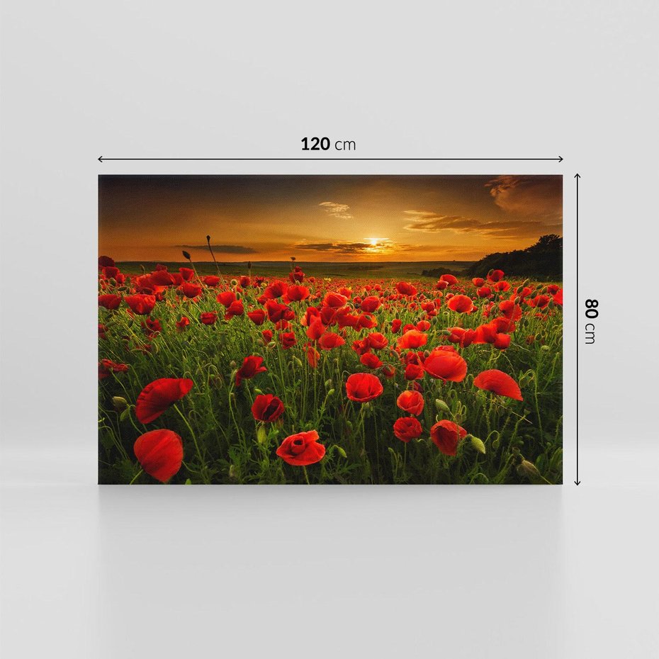 Obraz na płótnie 120x80 - Maki na łące: Przebudzenie wiosny - mak, maki