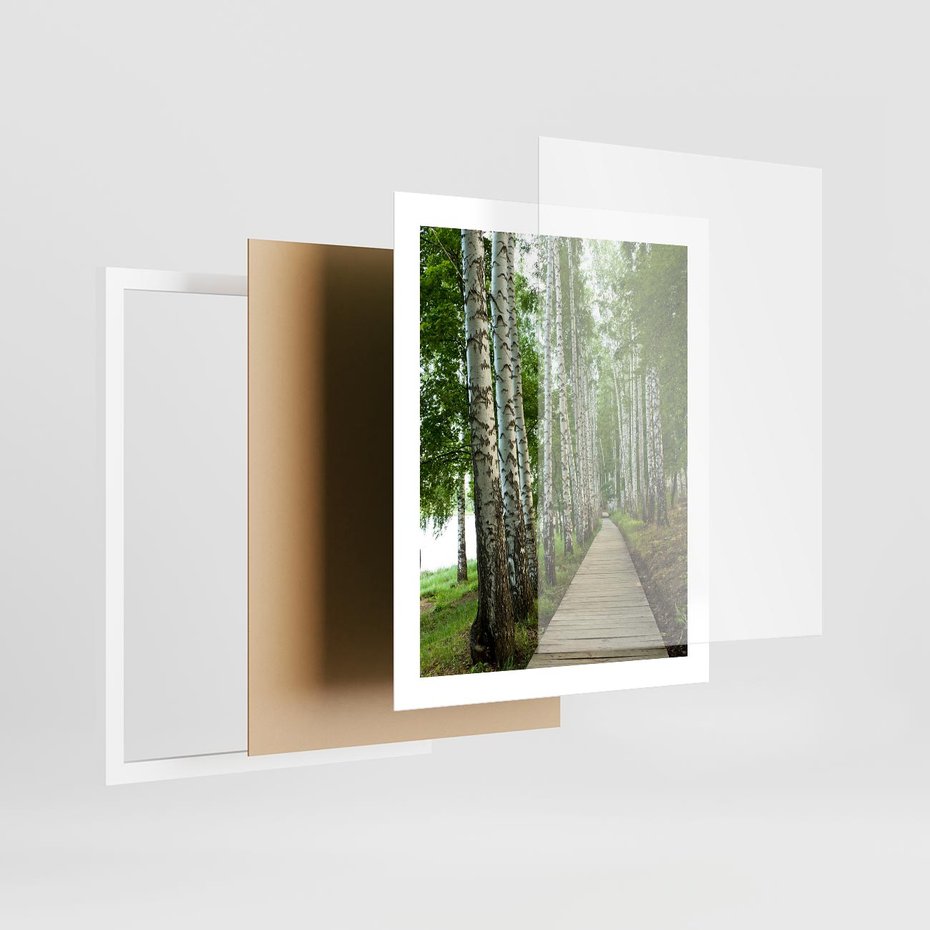 Plakat w ramie 40x50 - Spacer ścieżką przez brzozowy las - las, ścieżka - rama biała