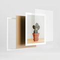 Plakat w ramie 40x50 - Kwiatowy taniec kaktusa - kaktus, kwiat - rama biała