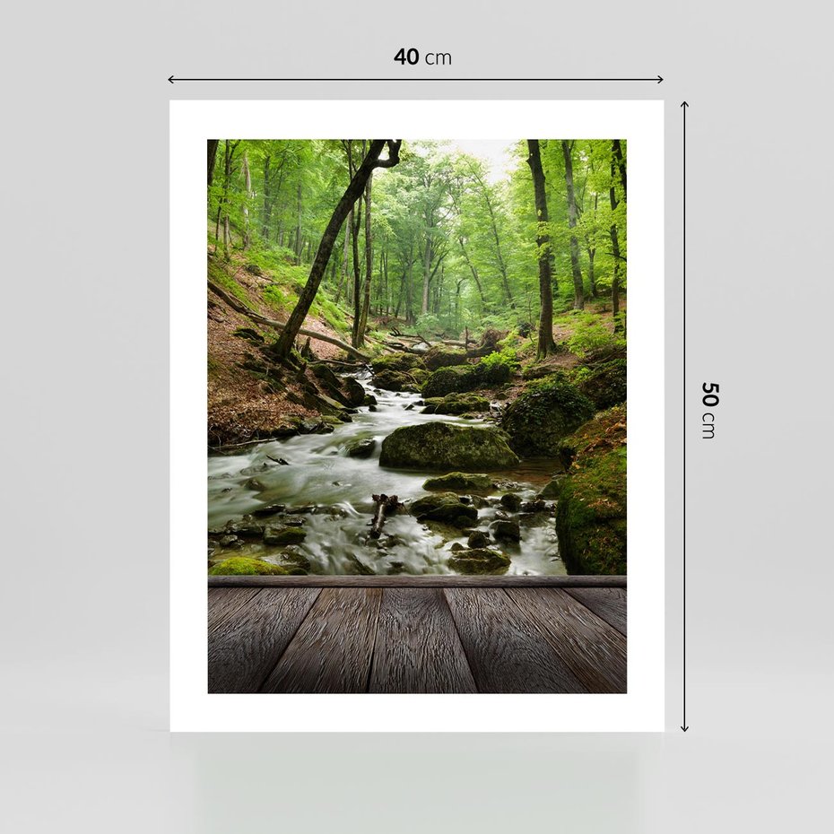 Plakat bez ramy 40x50 - Strumyk w lesie - strumyk, w lesie