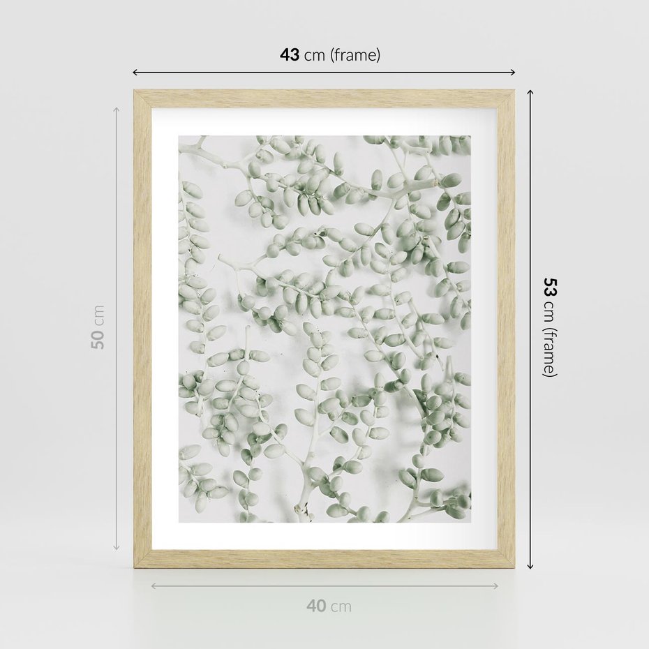 Plakat w ramie 40x50 - Delikatność Zieleni - zielone gałązki, listki - rama drewno