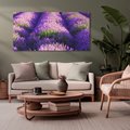 Obraz na płótnie 120x60 - Malownicze Pole Lawendy - lawenda, pole