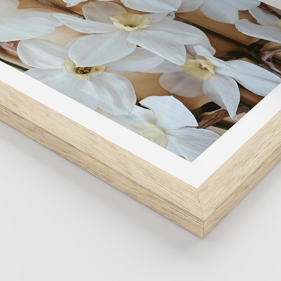 Plakat w ramie 40x50 - Białe Narcyzy - narcyzy, kwiaty - rama drewno