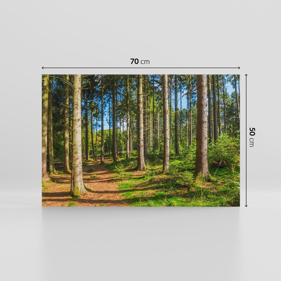 Obraz na płótnie 70x50 - Mistyfikacje lasu - las, drzewa