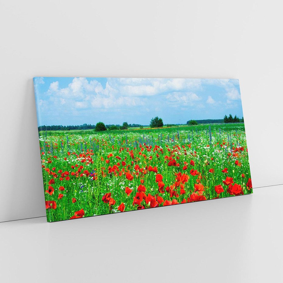 Obraz na płótnie 140x70 - Kolorowa łąka pełna maku - łąka, maki