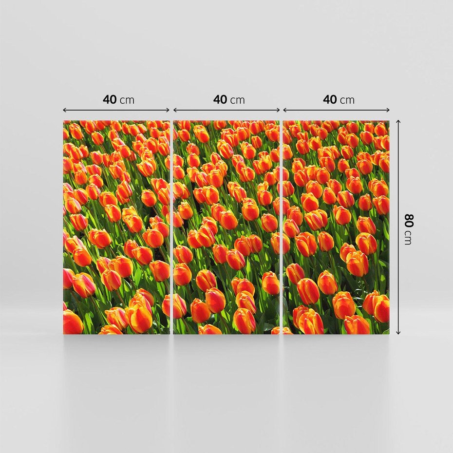 Obraz na płótnie 120x80 - Tulipanowa eksplozja - tulipany, kwiaty