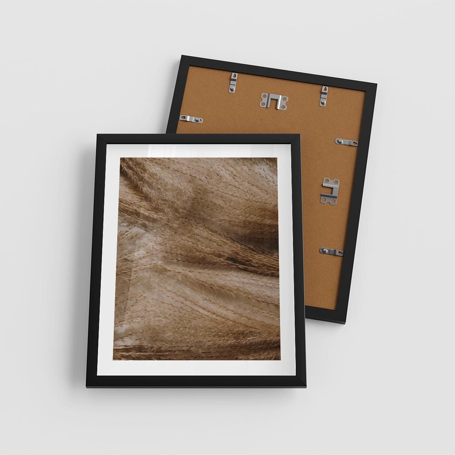 Plakat w ramie 40x50 - Pampasowy Brąz - suche trawy, trawa pampasowa - rama czarna