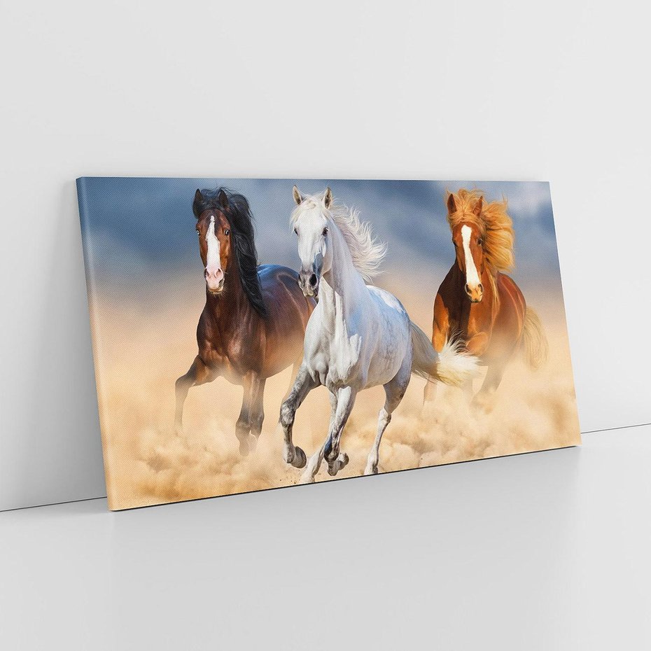 Obraz na płótnie 100x50 - Siła i elegancja - konie, galop
