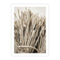 Plakat bez ramy 21x30 - Letni Plon - zboże, kłosy zboża