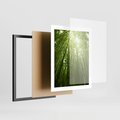 Plakat w ramie 40x50 - Siła Natury - drzewa, las - rama czarna