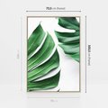 Obraz w ramie 70x100 - Monstera - Liście Kwiaty - monstera, liście - rama drewno