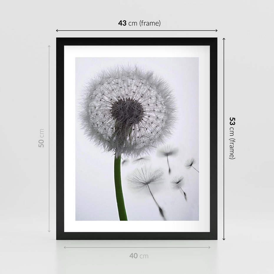 Plakat w ramie 40x50 - Lekkość Przemijania - dmuchawiec, makro - rama czarna