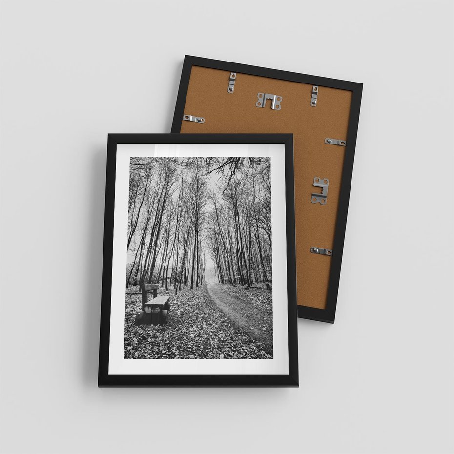 Plakat w ramie 30x40 - Spadające Liście - czarno białe zdjecie, park - rama czarna