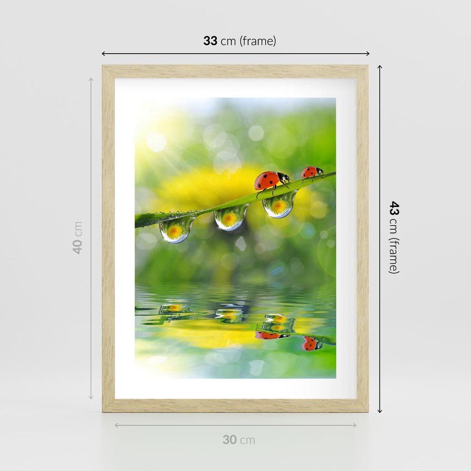 Plakat w ramie 30x40 - Deszczowa Biedronka - biedronka, deszcz - rama drewno